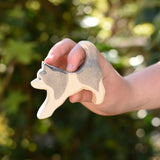 Ostheimer grey and white running sled dog in a child's hand. 