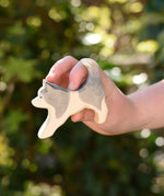 Ostheimer grey and white running sled dog in a child's hand. 