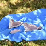Ostheimer wooden sea lion toy figures placed on a blue Laura's cotton play cloth in the Babipur garden.