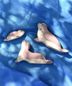 Ostheimer wooden sea lion toy figures placed on a blue Laura's cotton play cloth in the Babipur garden.