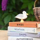 An Ostheimer seagull placed on a pile of books.