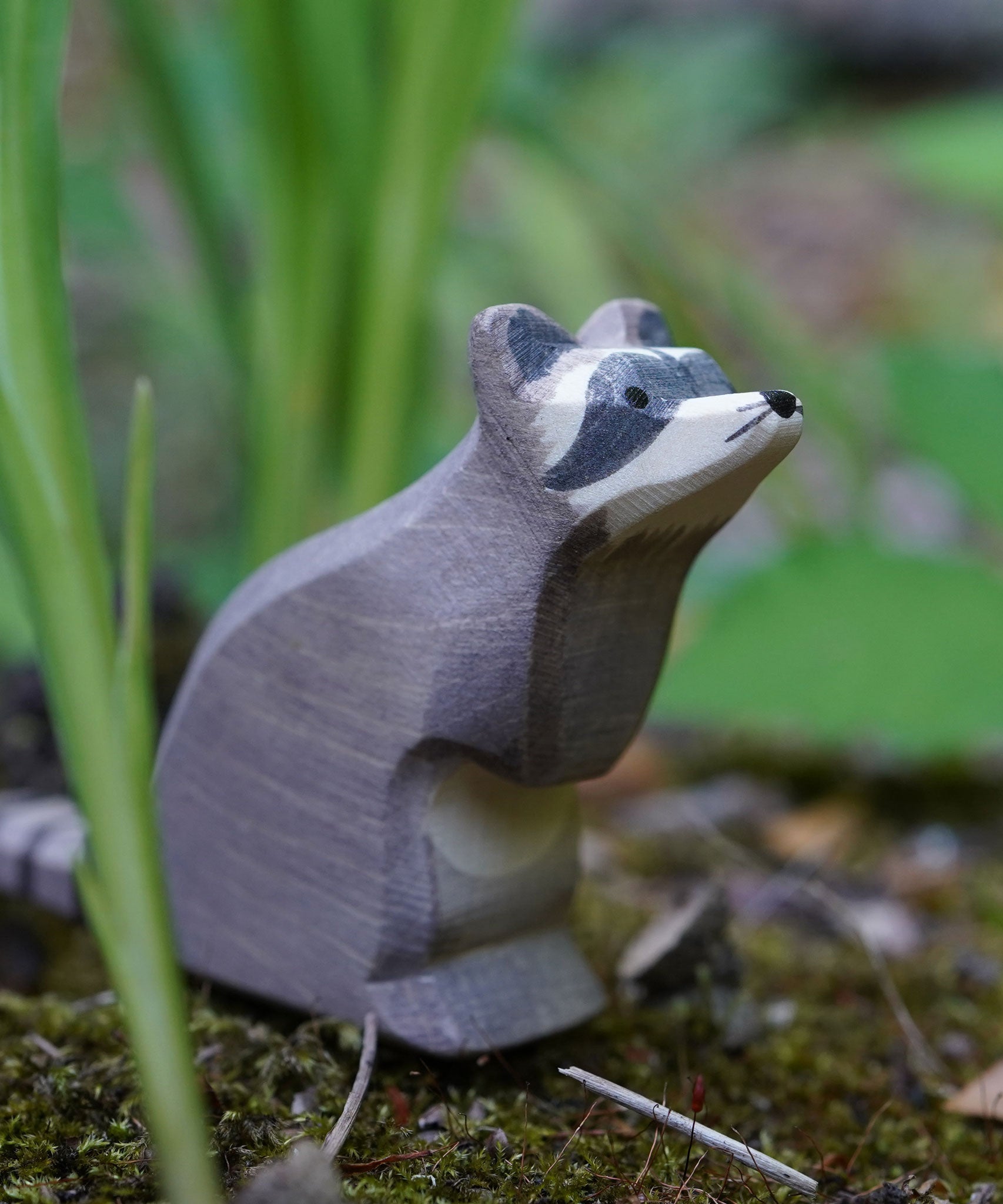 An Ostheimer sitting raccoon wooden figure placed on a mossy surface outdoors among blades of green grass. This expertly hand crafted wooden figure is part of a large range of wooden toys here at Babipur.