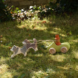 Ostheimer grey and white running sled dog and brown and white standing sled dog tied with string to a green Grimm's car with a Grapat Magos peg doll placed inside on grass outdoors in  the Babipur garden.