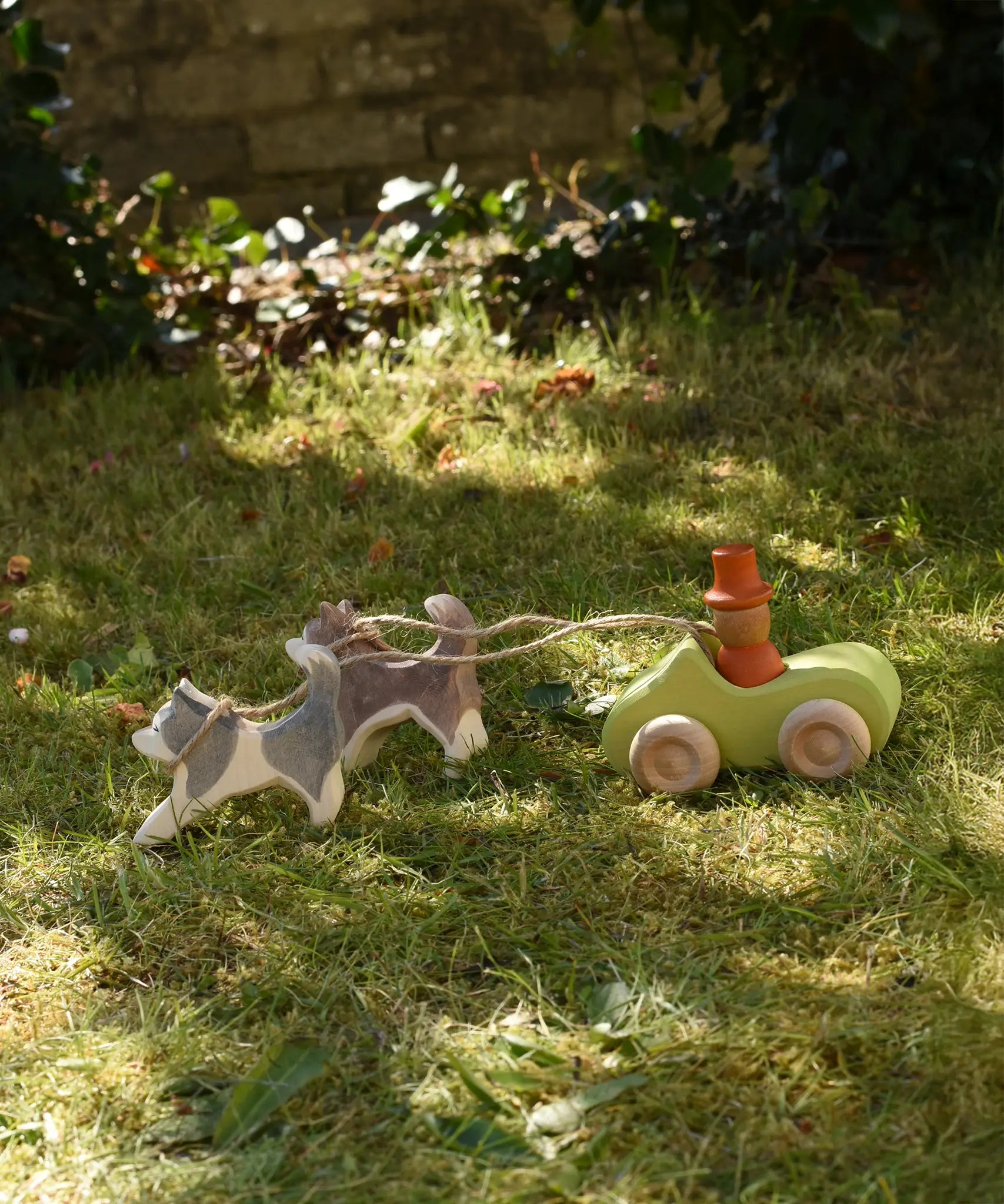 Ostheimer grey and white running sled dog and brown and white standing sled dog tied with string to a green Grimm's car with a Grapat Magos peg doll placed inside on grass outdoors in  the Babipur garden.