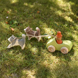 Ostheimer grey and white running sled dog and brown and white standing sled dog tied with string to a green Grimm's car with a Grapat Magos peg doll placed inside on grass outdoors in  the Babipur garden.