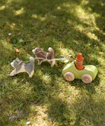 Ostheimer grey and white running sled dog and brown and white standing sled dog tied with string to a green Grimm's car with a Grapat Magos peg doll placed inside on grass outdoors in  the Babipur garden.