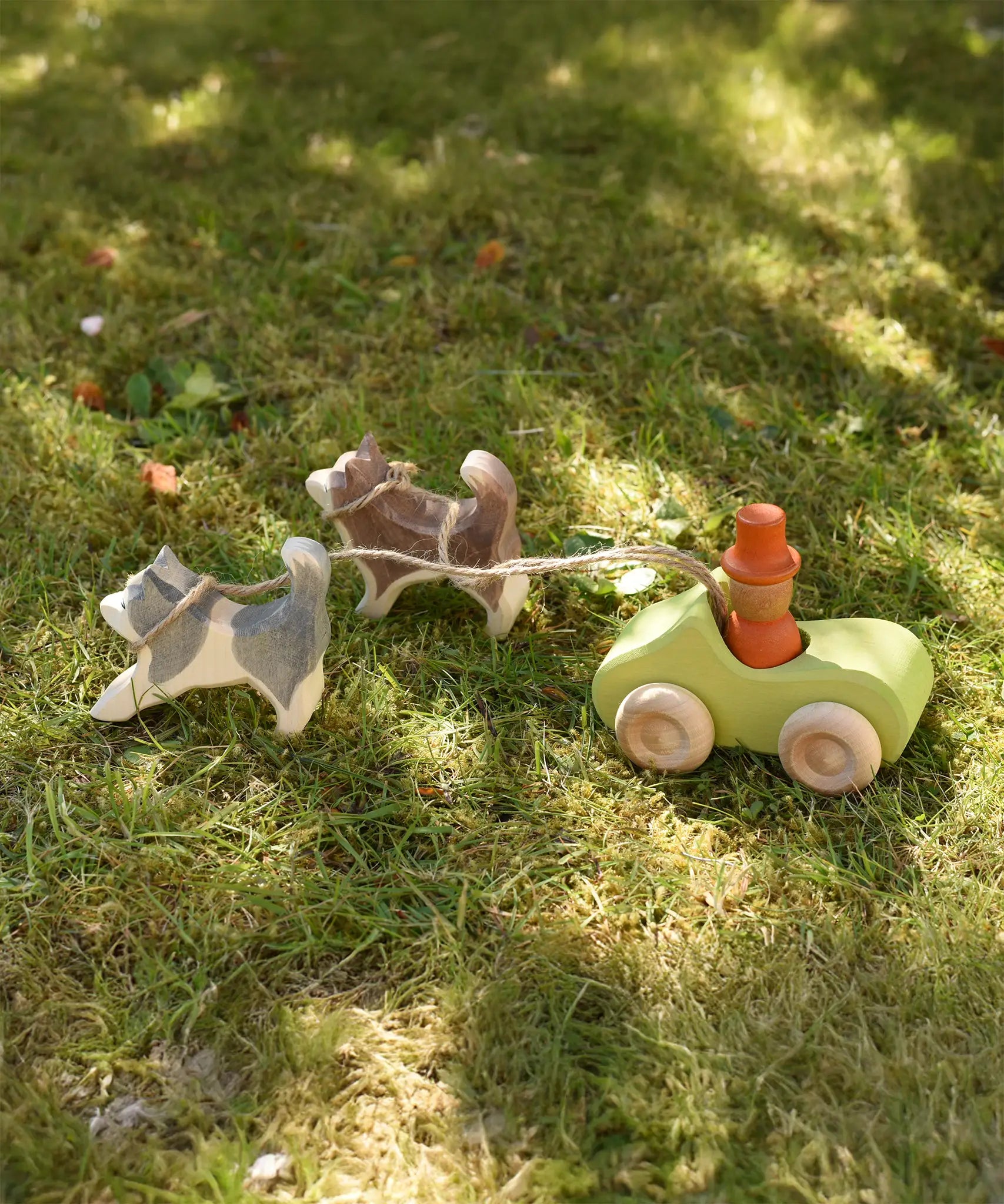 Ostheimer grey and white running sled dog and brown and white standing sled dog tied with string to a green Grimm's car with a Grapat Magos peg doll placed inside on grass outdoors in  the Babipur garden.