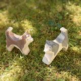 Ostheimer grey and white running sled dog placed on grass next to a standing sled dog in the Babipur garden.