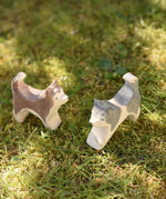 Ostheimer grey and white running sled dog placed on grass next to a standing sled dog in the Babipur garden.