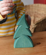 Ostheimer small green spruce tree placed on a wooden surface in front of a child.