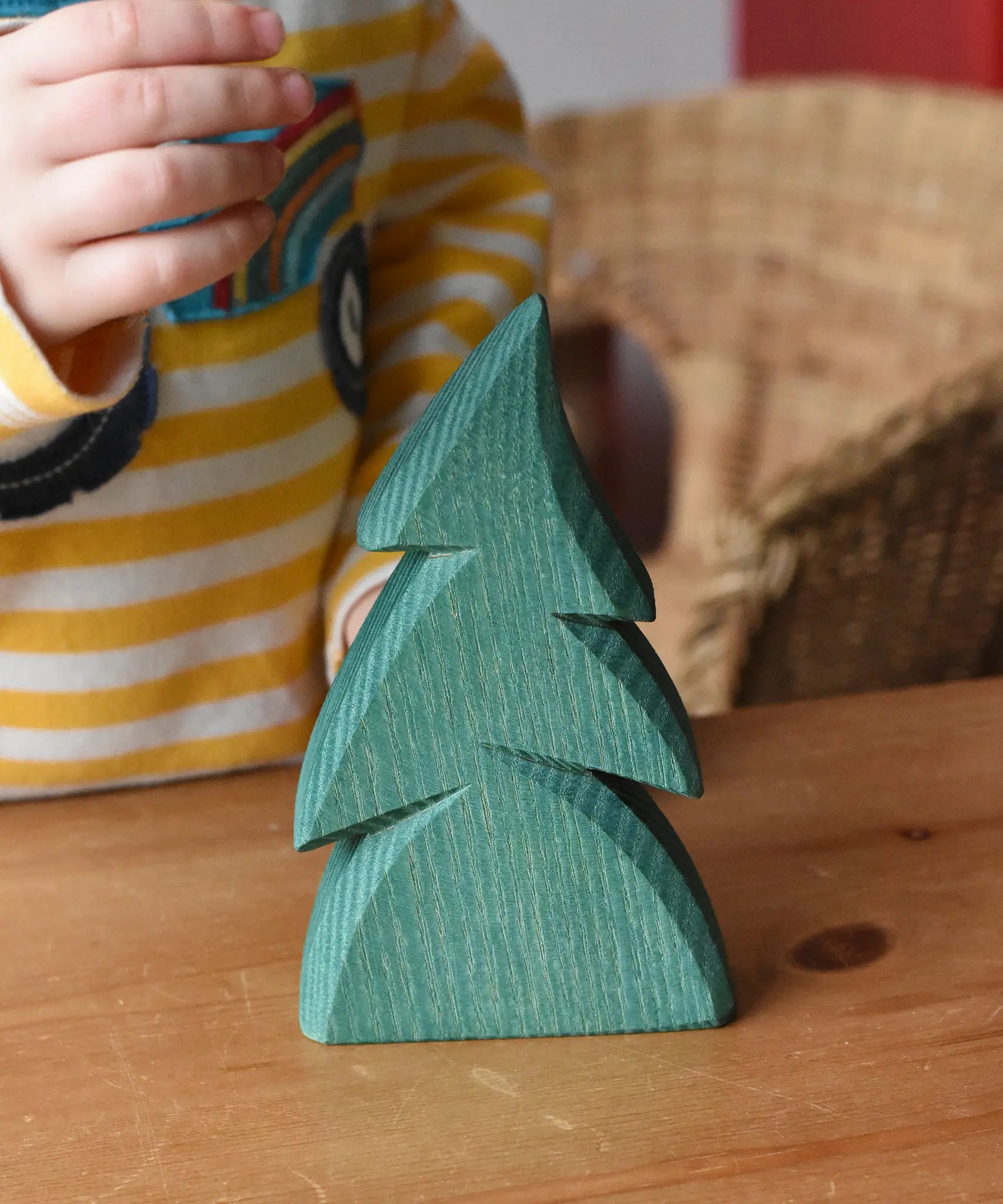 Ostheimer small green spruce tree placed on a wooden surface in front of a child.