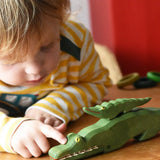 Child petting Osthiemer crocodile with a small crocodile placed on the back of a larger one.