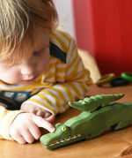 Child petting Osthiemer crocodile with a small crocodile placed on the back of a larger one.