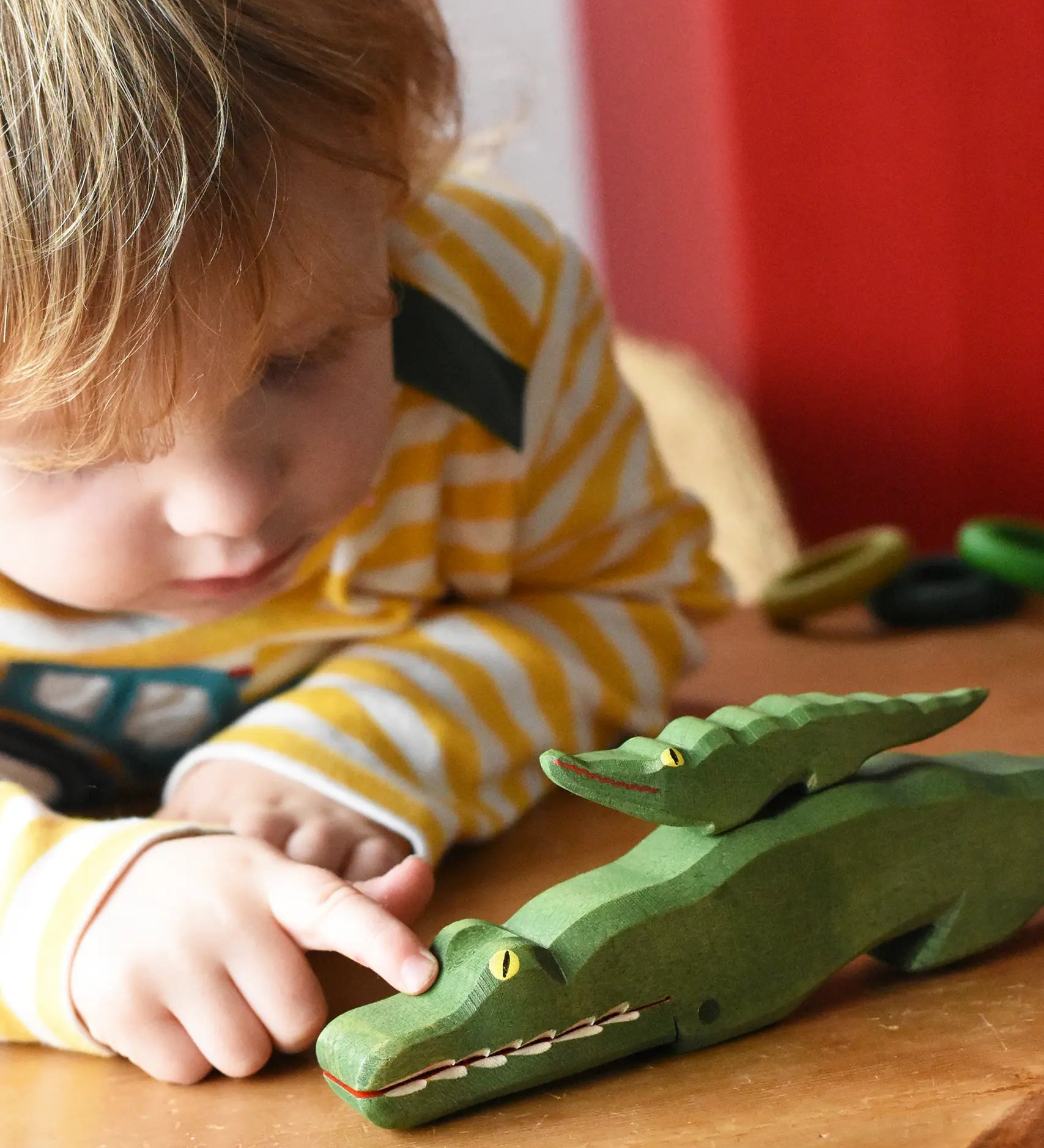 Child petting Osthiemer crocodile with a small crocodile placed on the back of a larger one.