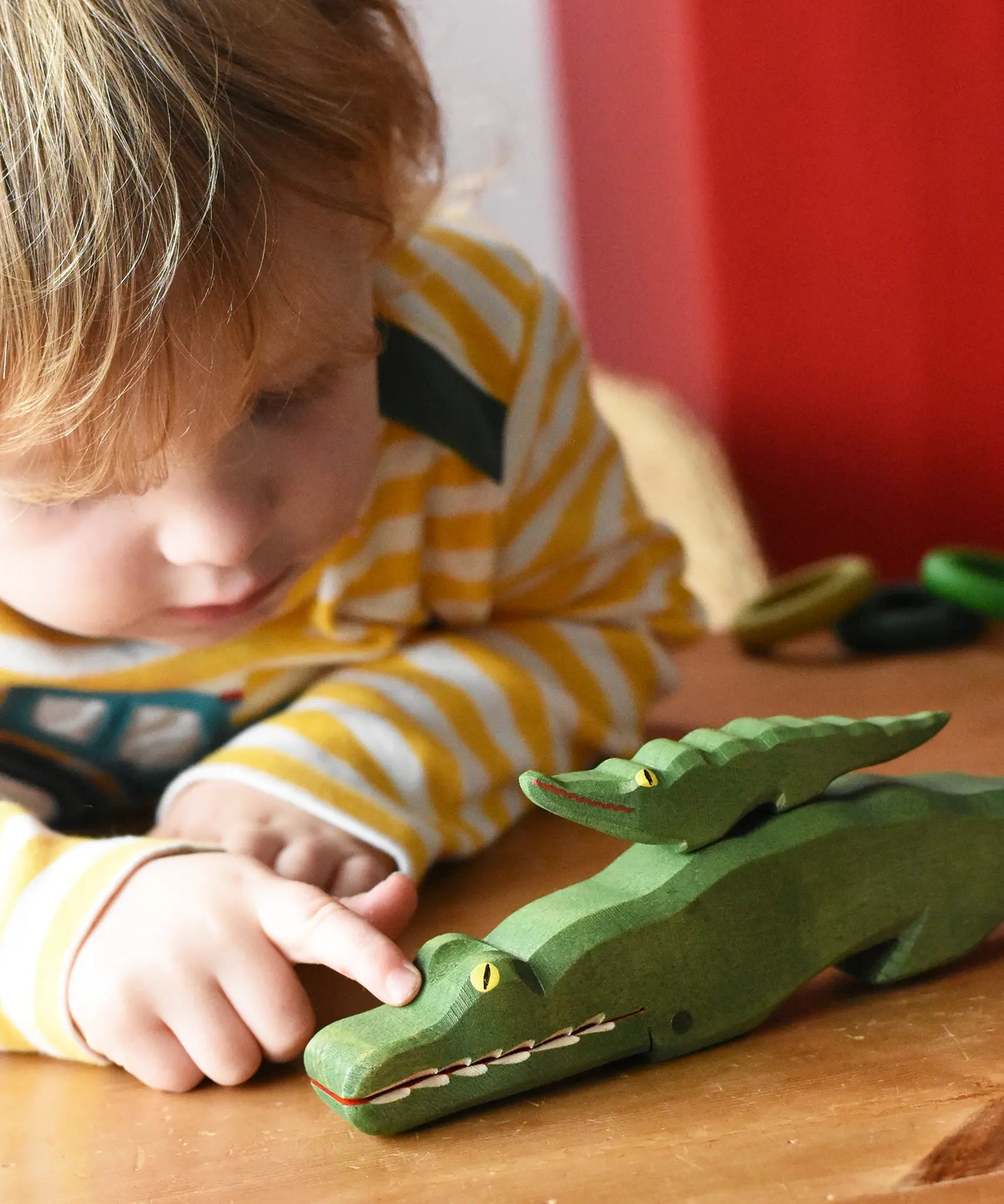 Child petting Osthiemer crocodile with a small crocodile placed on the back of a larger one.