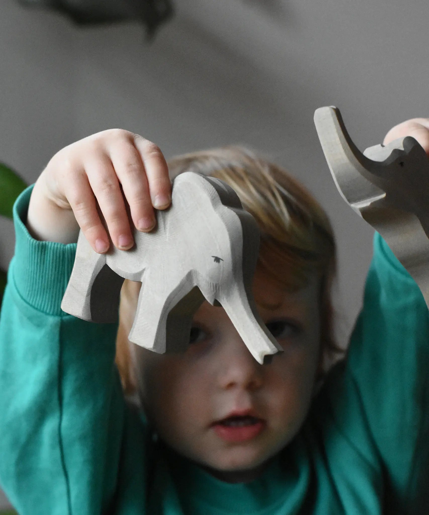 Ostheimer small elephant with trunk out in a child's hand.