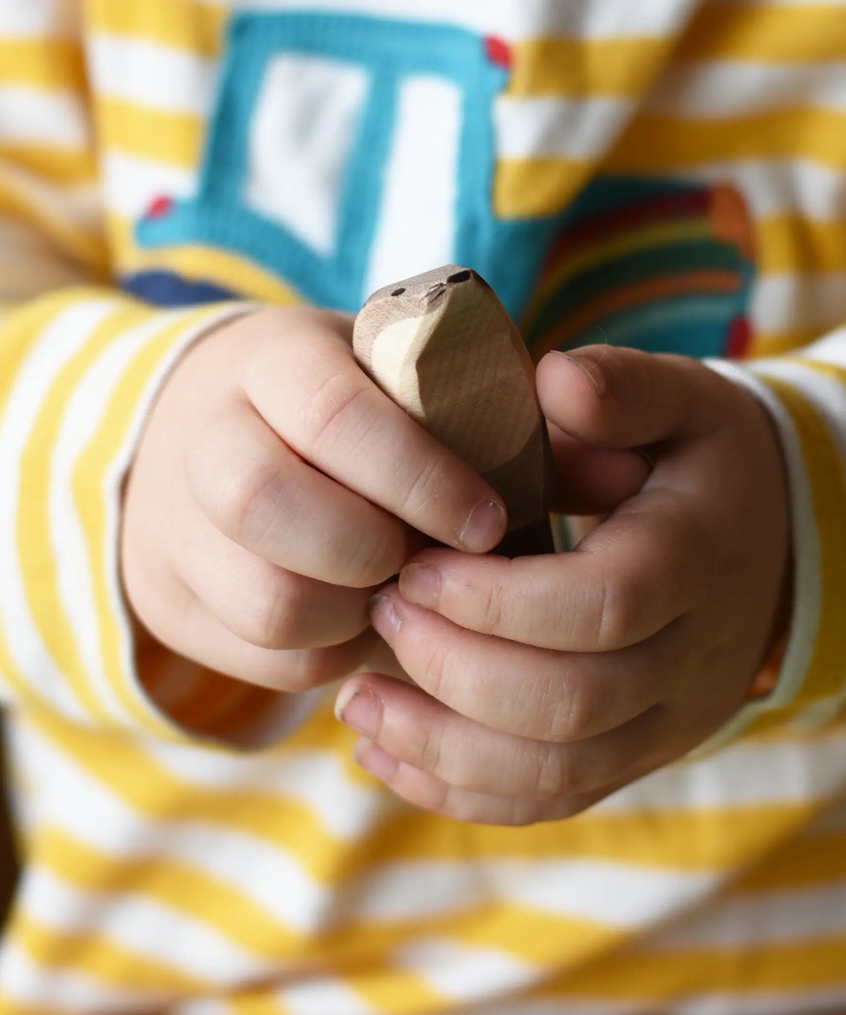 Ostheimer standing sea otter in a child's hands.