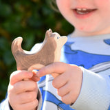 Ostheimer standing sled dog in a child's hands.