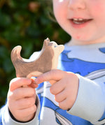 Ostheimer standing sled dog in a child's hands.