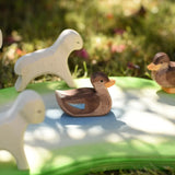 Ostheimer swimming duck placed in a small wold play scene in the Babipur garden. 
