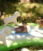 Ostheimer swimming duck placed in a small wold play scene in the Babipur garden. 