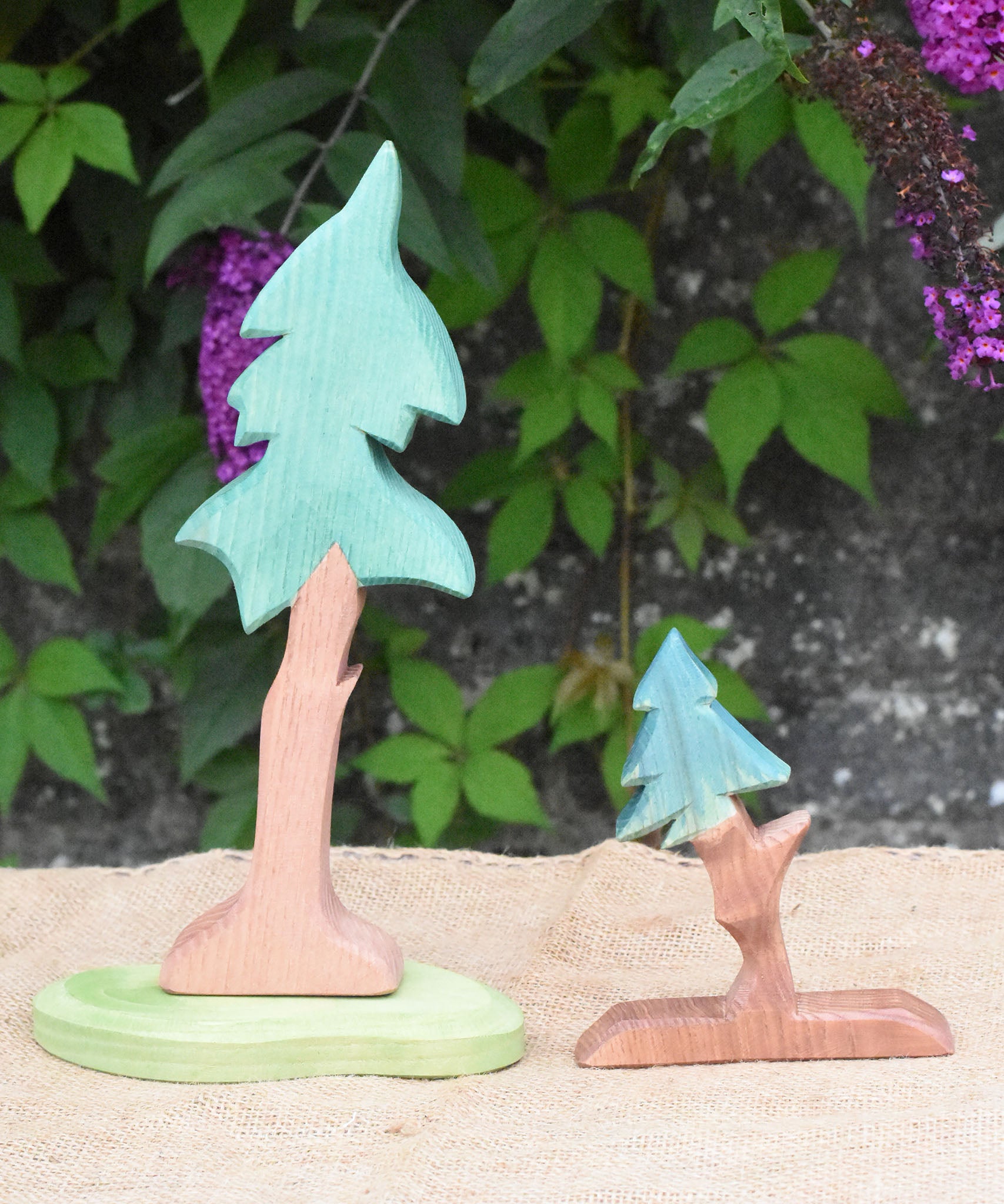 An Ostheimer tall spruce tree pictured next to the fir tree for dwarves. 