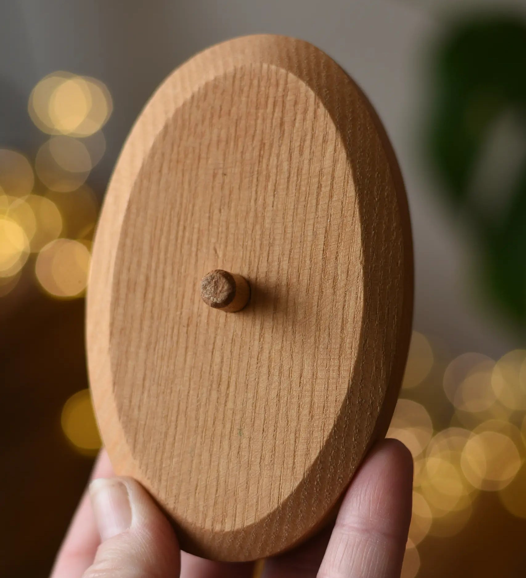 Ostheimer palm tree wooden support base in an adult's hand. 