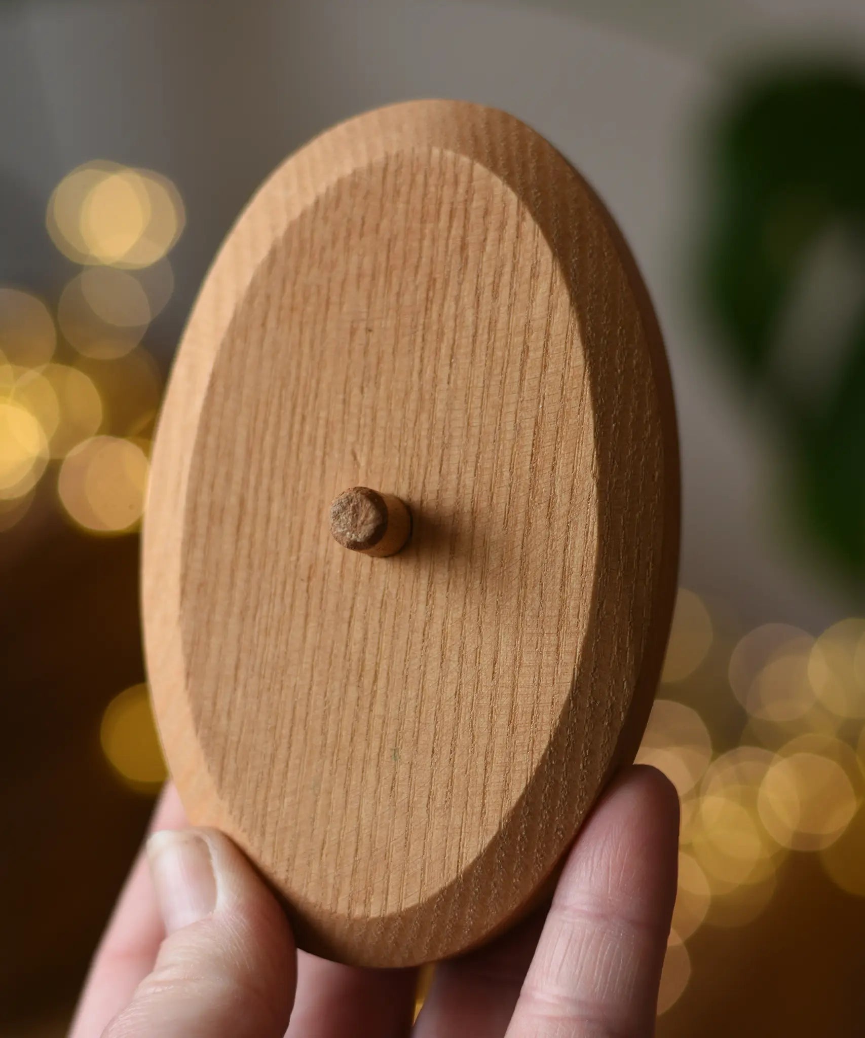 Ostheimer palm tree wooden support base in an adult's hand. 