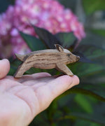 An Ostheimer wild boar piglet figure shown on an adult's hand to show scale. Check out our full range of expertly crafted wooden toy figures and scenery here at Babipur.