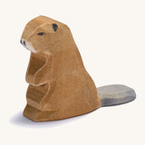 Ostheimer Beaver Sitting