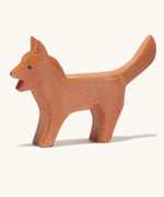 A brown wooden Ostheimer bremer standing dog  on a cream background.