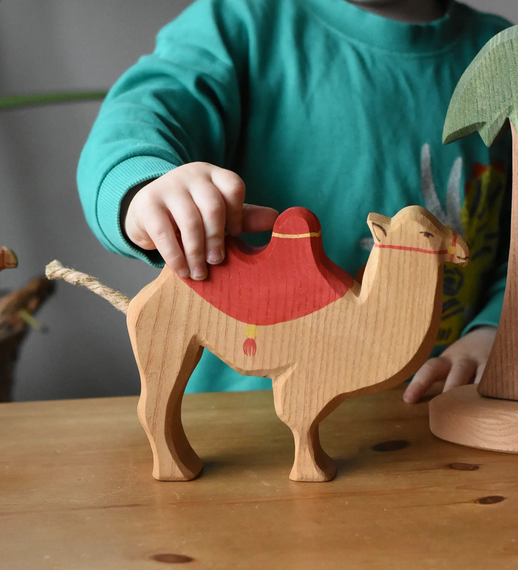 Child holding the Ostheimer camel with red saddle placing it on a wooden surface. 