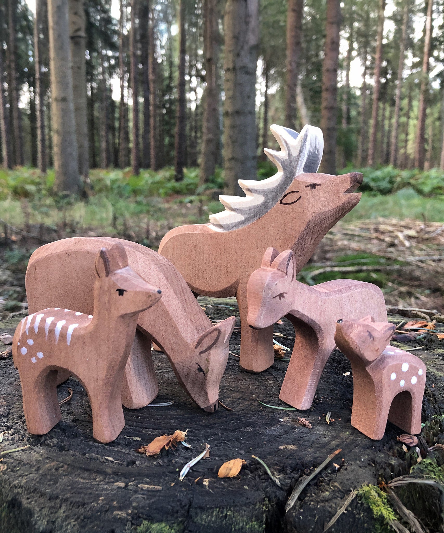 Ostheimer deer stag, a deer eating with a couple of fawns and a standing deer wooden figures gathered together in a natural play scene on tree stump. Handmade in Germany, Waldorf small world toy and sold at Babipu