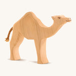 A wooden Ostheimer Dromedary camel on a cream background.
