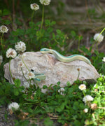 Ostheimer snakes placed on a rock outdoors among grass and greenery.