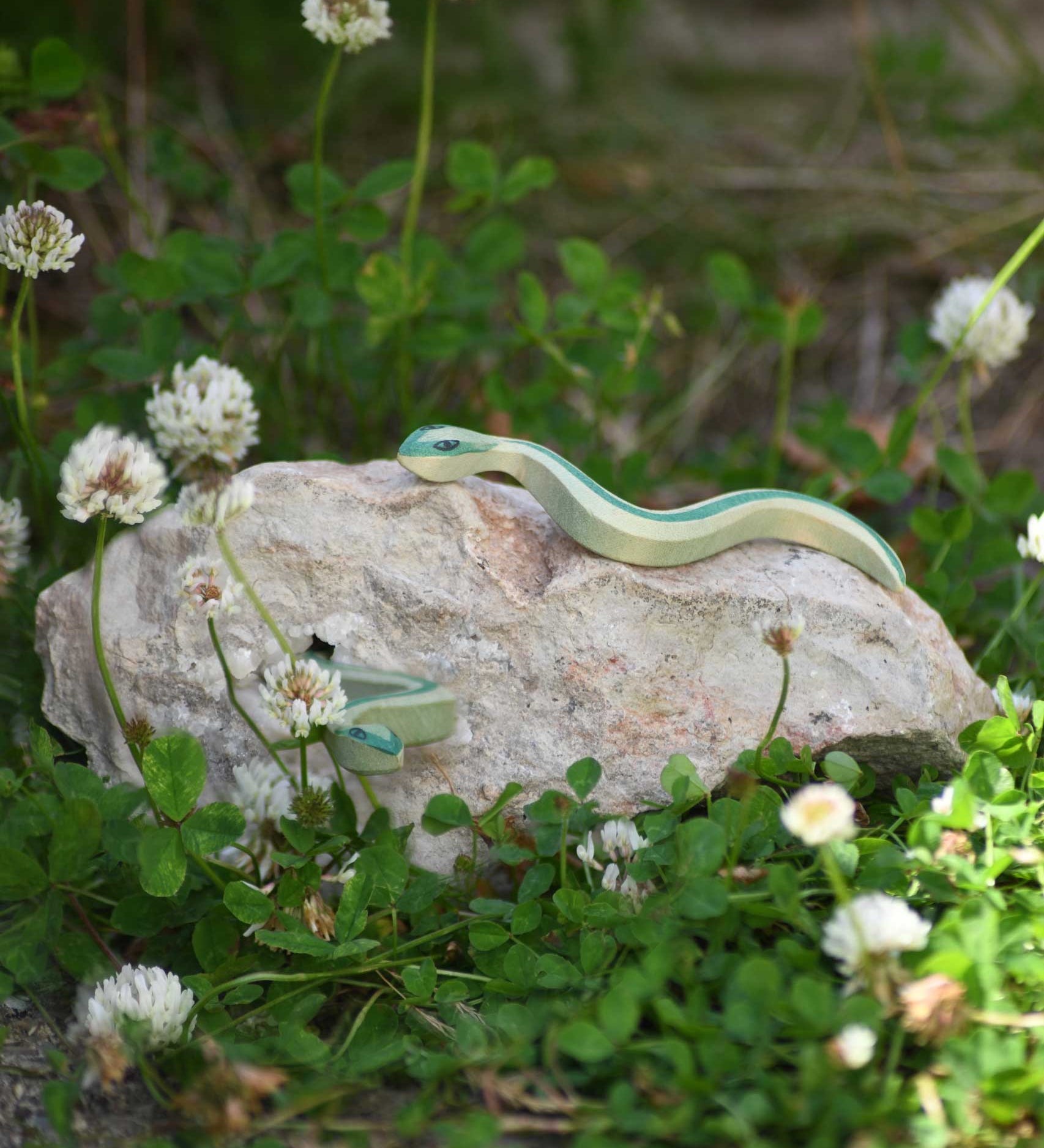 Ostheimer snakes placed on a rock outdoors among grass and greenery.