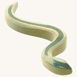 A green wooden Ostheimer snake with blue eyes on a cream backgrouund.