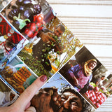 A page from the Palestinian cookbook; 'Palestine on a Plate' by Joudie Kalla. It shows Palestinian food farmers, market sellers, and crops.