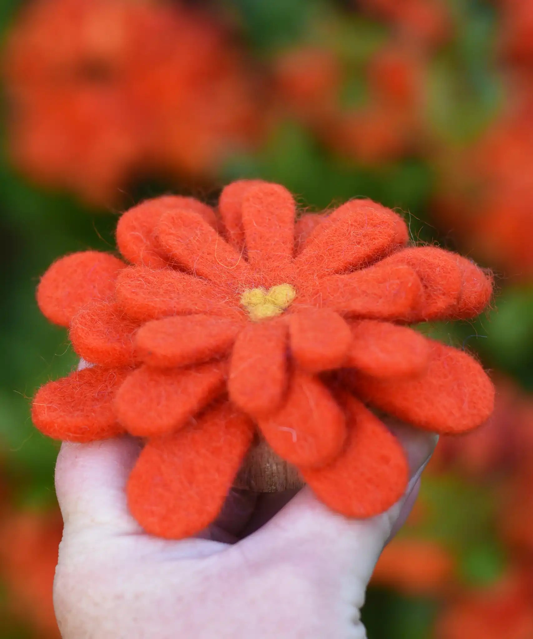 Orange Papoose toys felt aster flower in an adult's hand with orange azalea flowers in the background. 