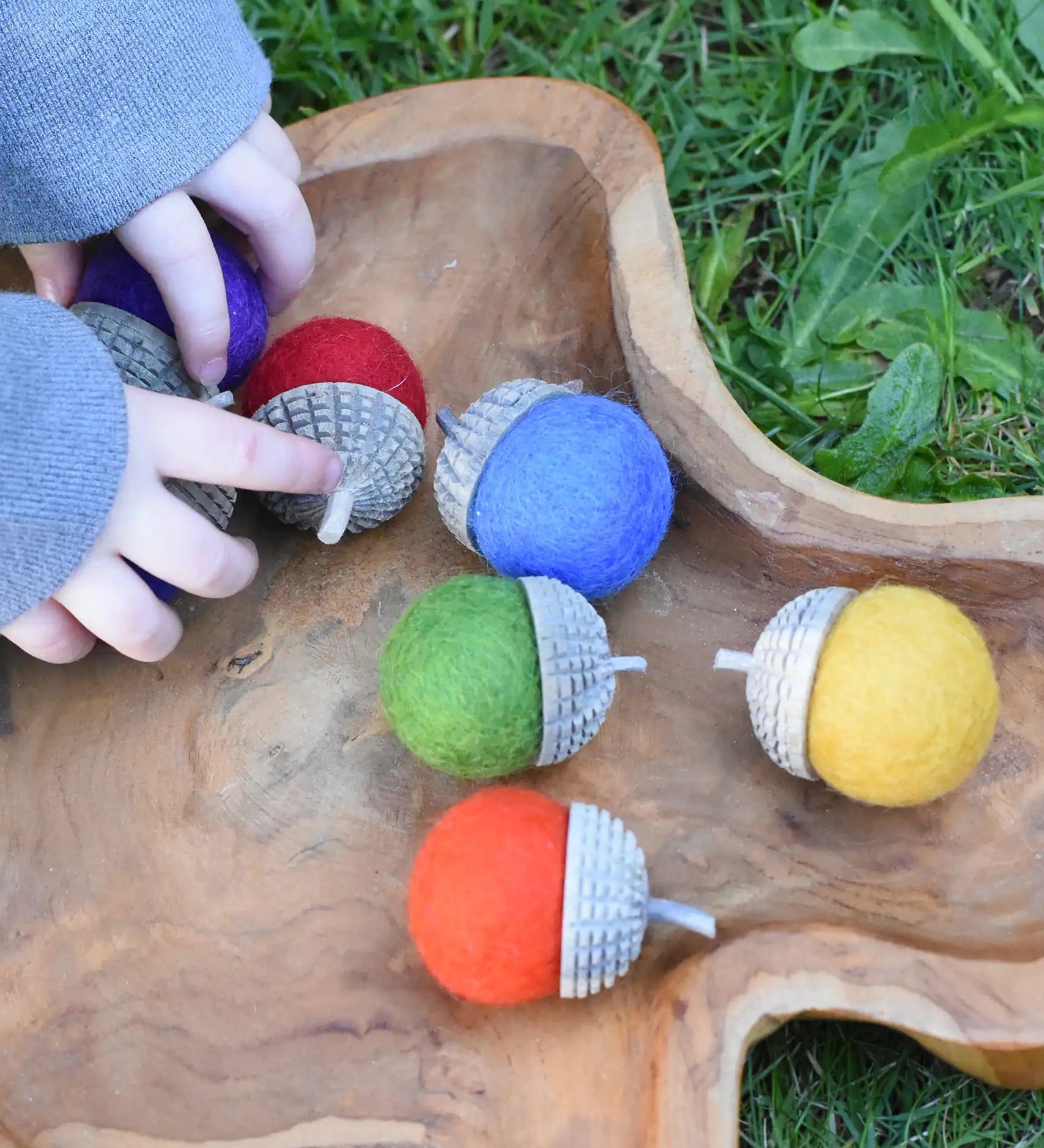 Papoose Toys rainbow acorns placed in a wooden dish with a child's hands picking some up.