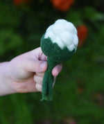 Papoose Toys felt cauliflower in a child's hand. 