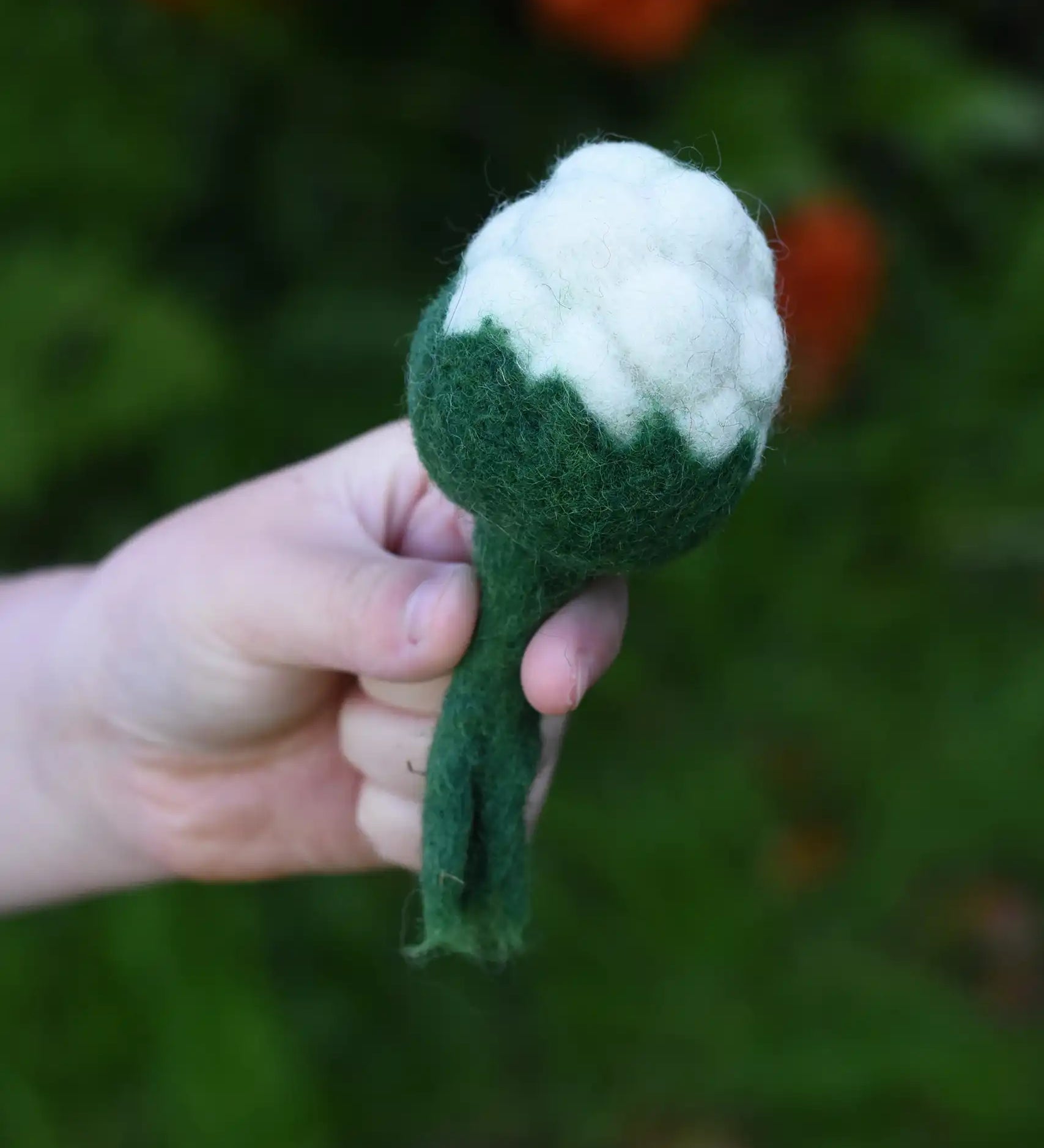 Papoose Toys felt cauliflower in a child's hand. 