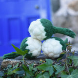 Papoose Toys felt cauliflower set of three placed on a stone wall outdoors. 