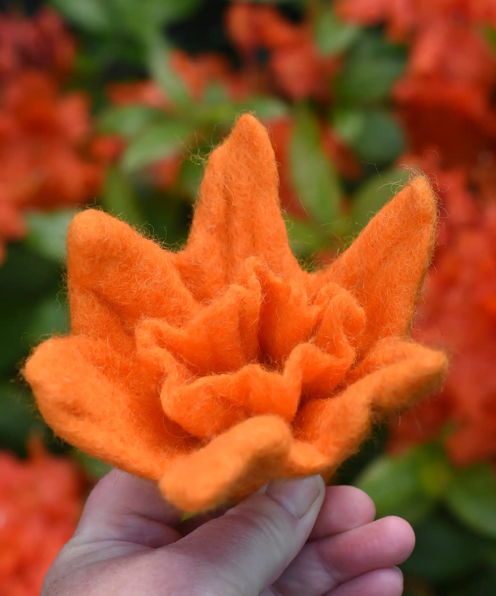 Orange Papoose felted daffodil flower in an adult's hand held up in front of orange azaela flowers. 