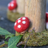 Close up of the red fly agaric style mushroom on the base of the Papoose woodland tree.