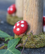 Close up of the red fly agaric style mushroom on the base of the Papoose woodland tree.