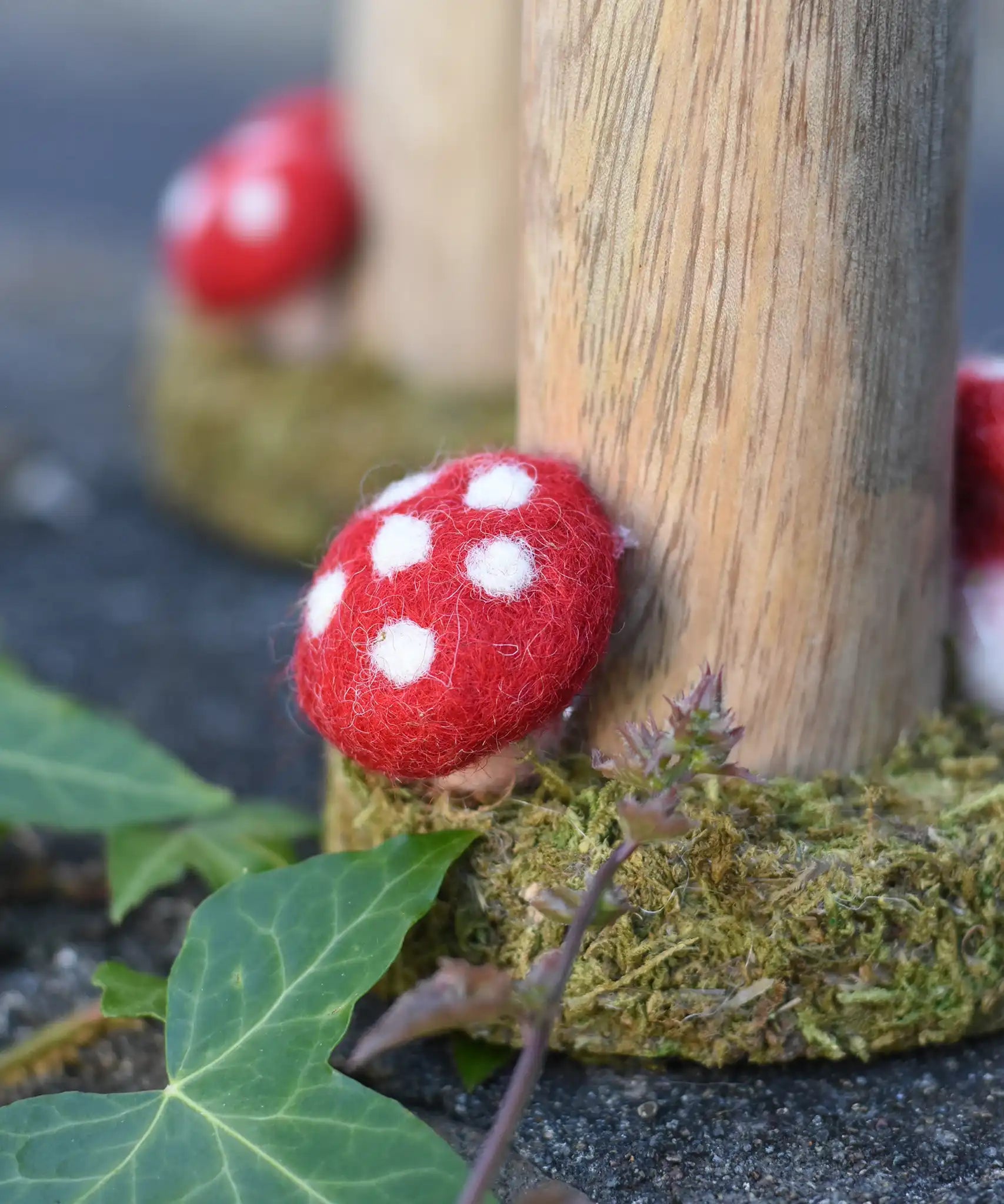 Close up of the red fly agaric style mushroom on the base of the Papoose woodland tree.