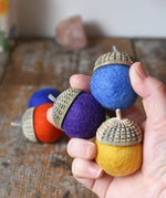 Three Papoose Toys rainbow acorns in an adult's hand, some on a wooden desk in the background. 7 colours of rainbow felt on hand carved wooden acorn caps.