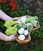 Papoose Toys felt vegetable play food in a wooden dish, held by a child.
