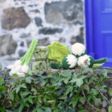 Papoose Toys felt vegetable play food placed on a stone wall outdoors.